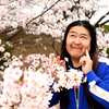 トミー富岡と桜