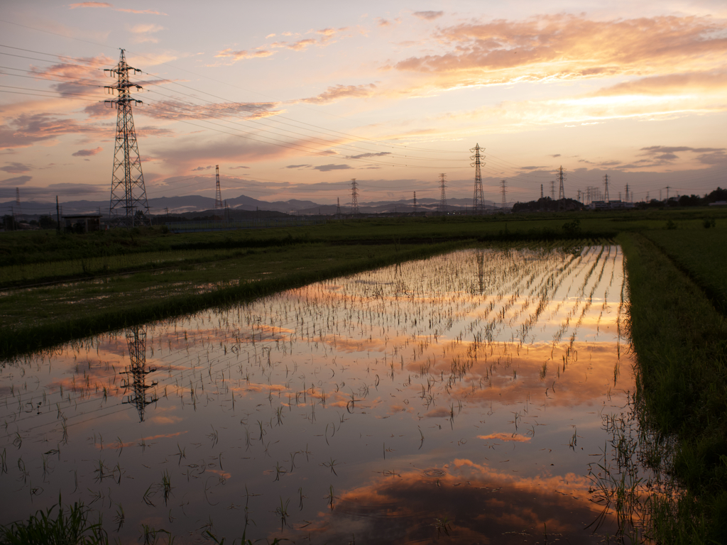 東松山の夕日と送電鉄塔1