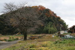 廃線の名鉄谷汲線を歩く　更地駅