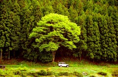BJ44Vのある風景 IX