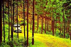 BJ44Vのある風景 I