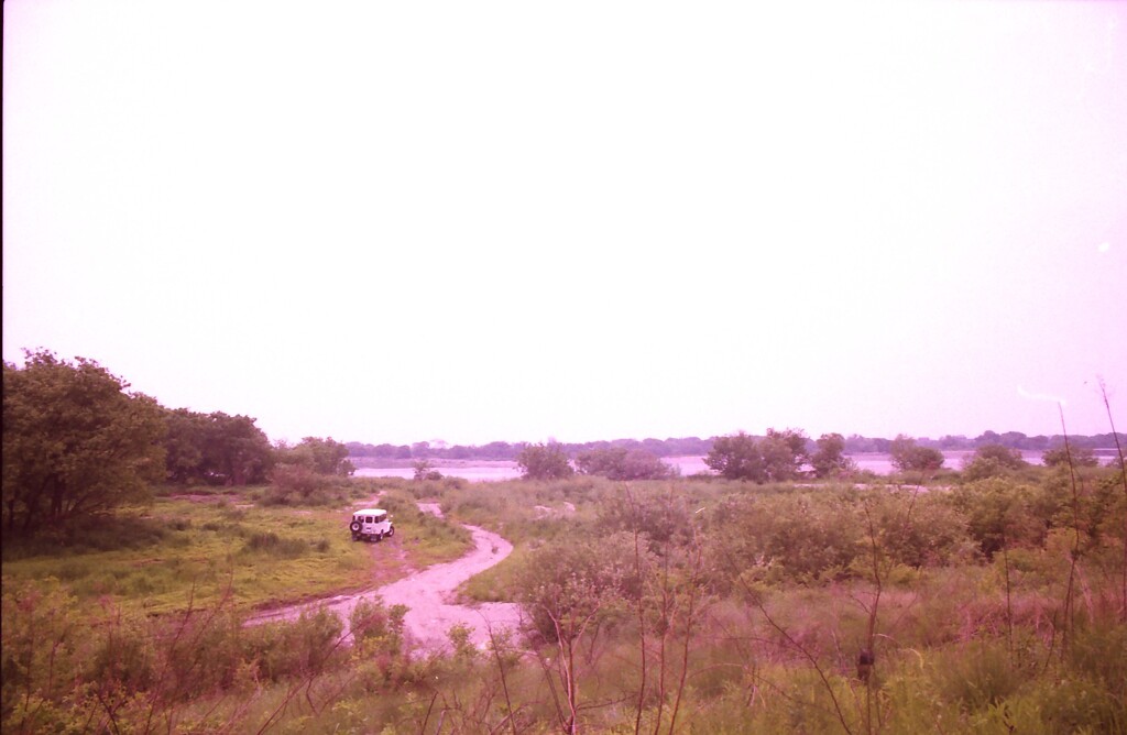 BJ44Vのある風景 54