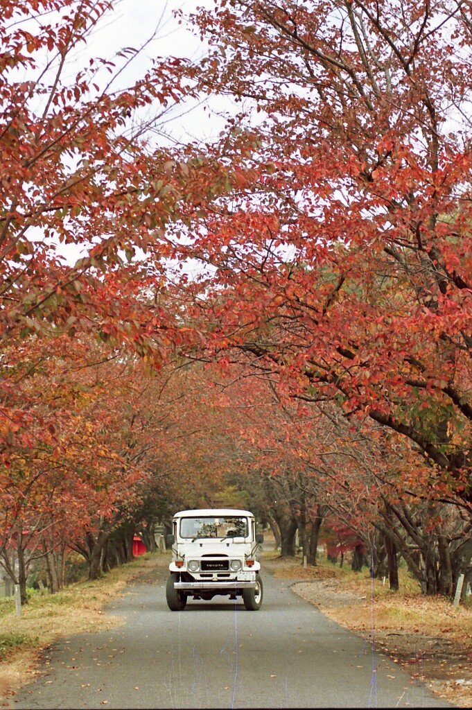BJ44Vのある風景 26