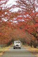 BJ44Vのある風景 26