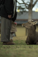 未知との遭遇