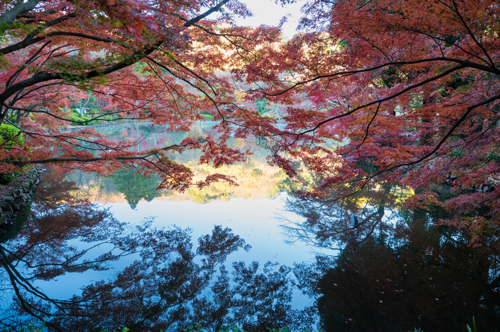 薬師池公園にて-2