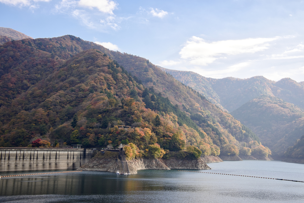 色付く奥多摩湖周辺2