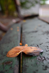 公園のベンチにて