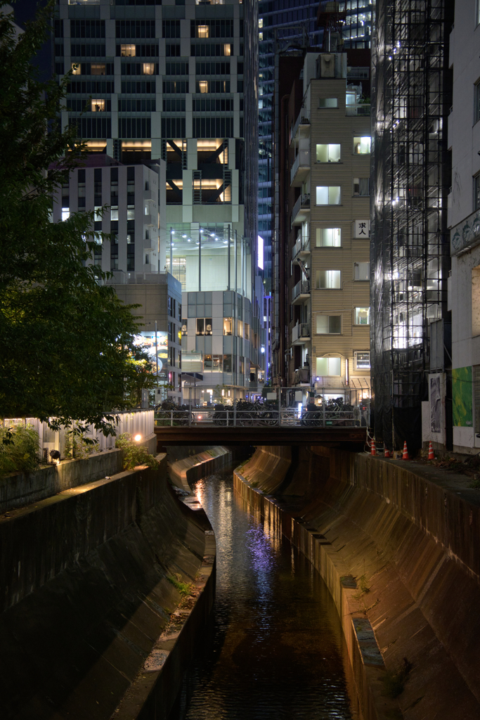 渋谷を流れる川