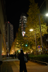 まだまだライトアップ