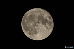 中秋の名月＋１日