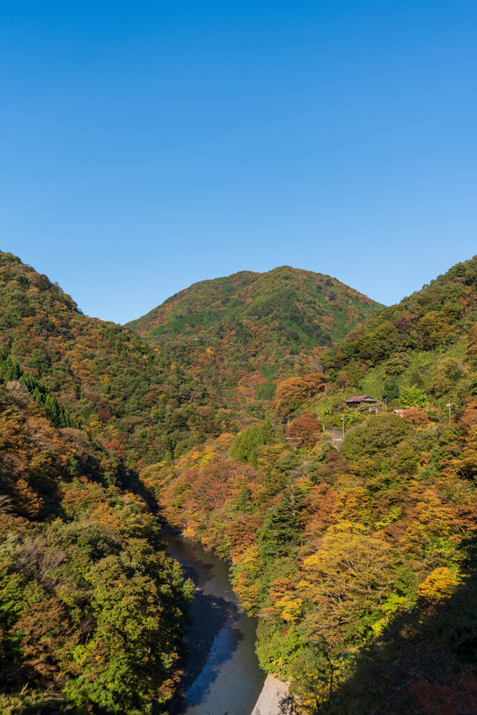 奥多摩湖上流