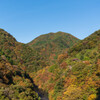 奥多摩湖上流