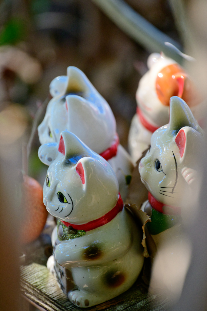 お供え物の番人