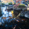 紅葉風景：大黒田公園