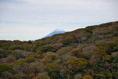 紅葉越しの富士山