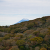 紅葉越しの富士山