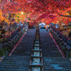 紅葉風景：大山阿夫利神社