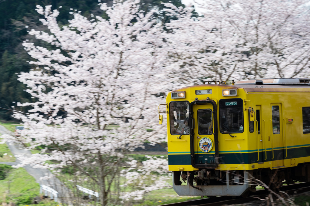 いすみ鉄道