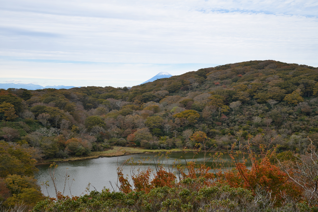 紅葉越しの富士山