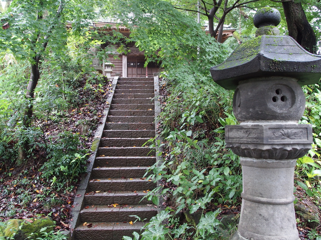 雨の浄慶寺にて