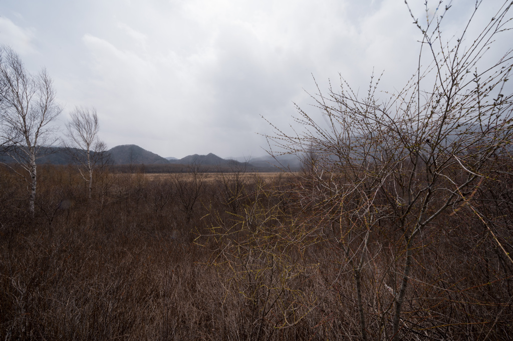 戦場ヶ原