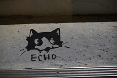 朽ちた歩道橋にて