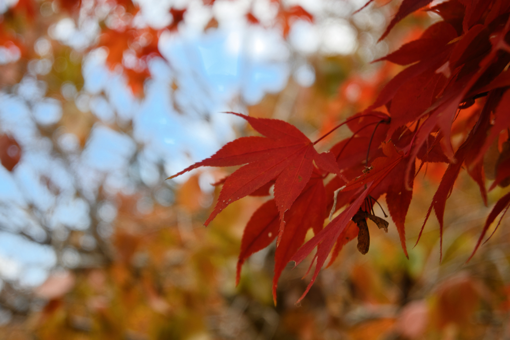 奥多摩湖周辺にて