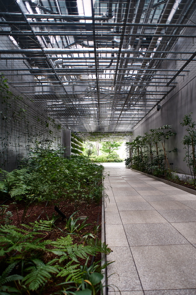 都会のオアシス