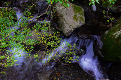 バスを待つ間に