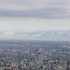朝靄②