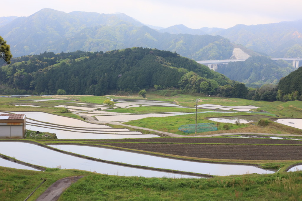 棚田