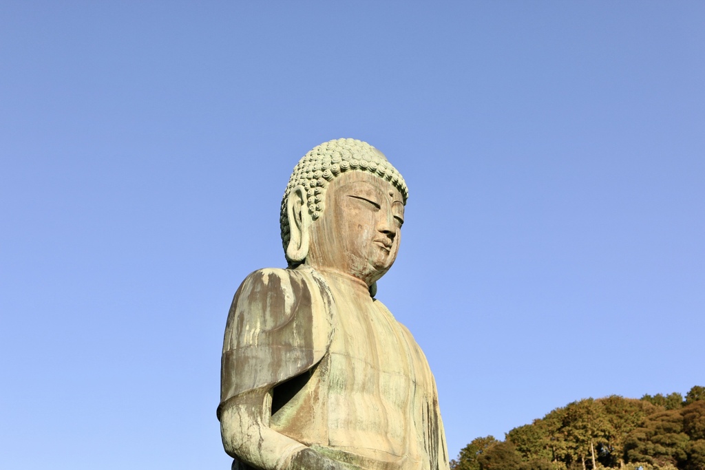その目は何を見てるでしょう…