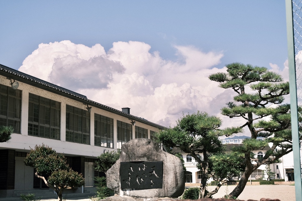 夏雲と校舎と松