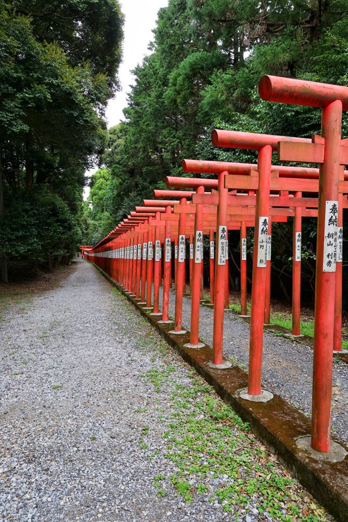 千本鳥居
