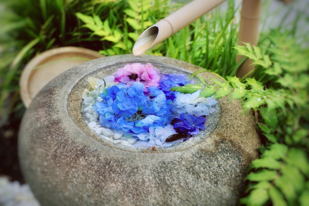 華やか