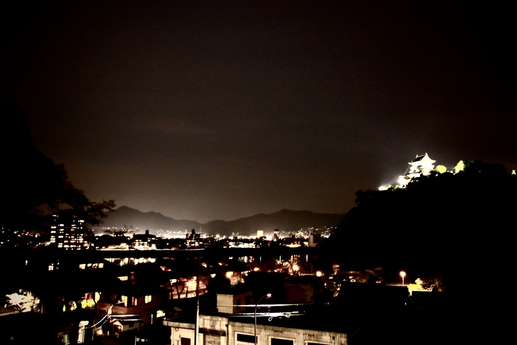 夜の犬山城
