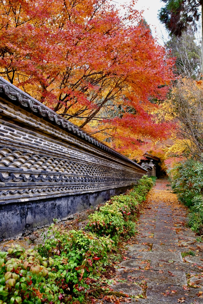 瓦土塀(信長塀)