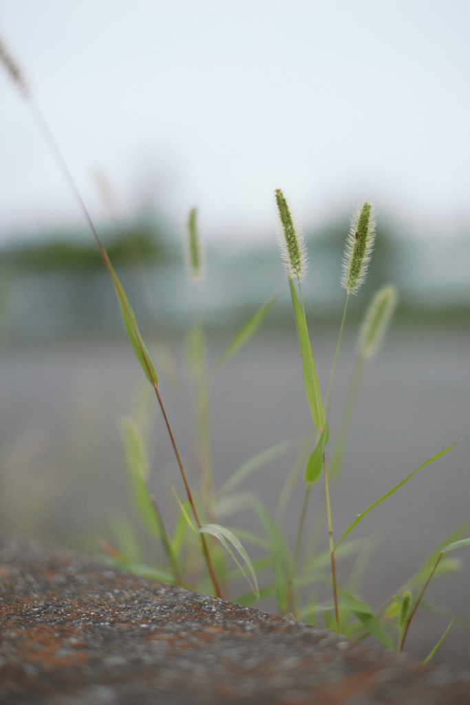 DD81971A-27E2-4770-A16A-635890693837