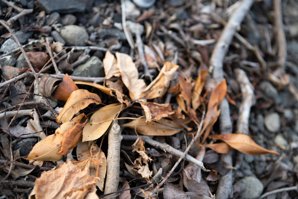 CA880E91-BCC9-440A-B030-DD74C5AC5811