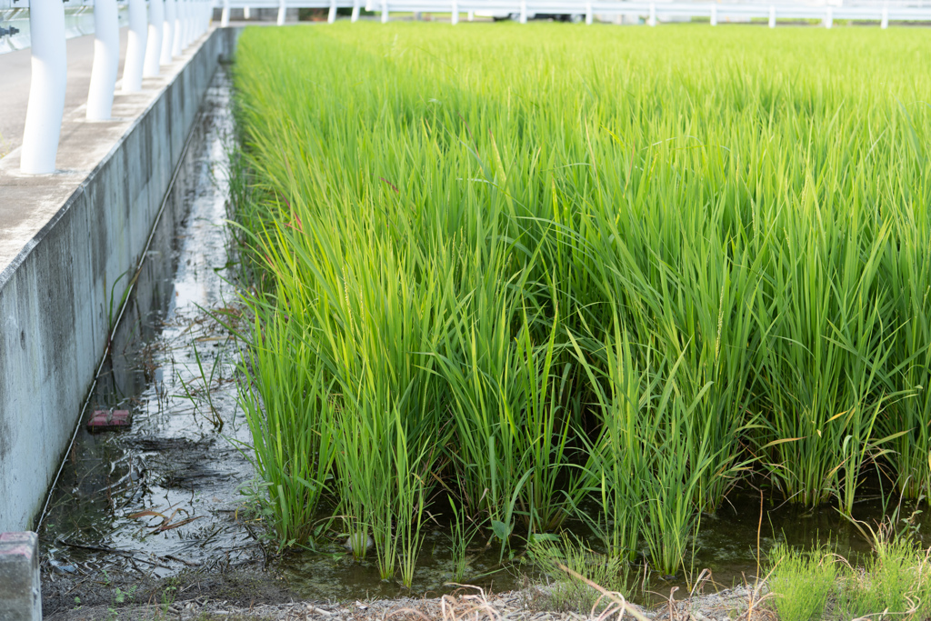 A59F446D-C822-4D13-BAEB-12ED38460D95