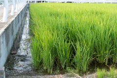 A59F446D-C822-4D13-BAEB-12ED38460D95