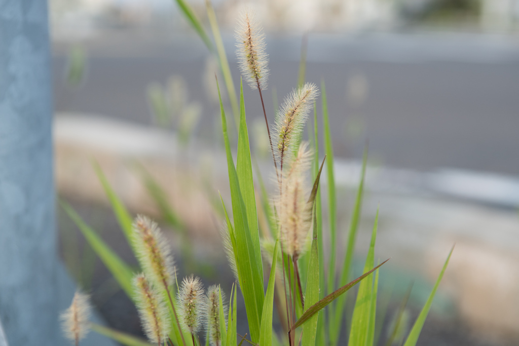 9A16B997-6F18-4F48-A16E-81F58F3DCA52