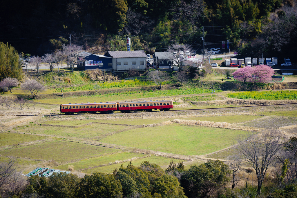 約1年ぶりの小湊鉄道