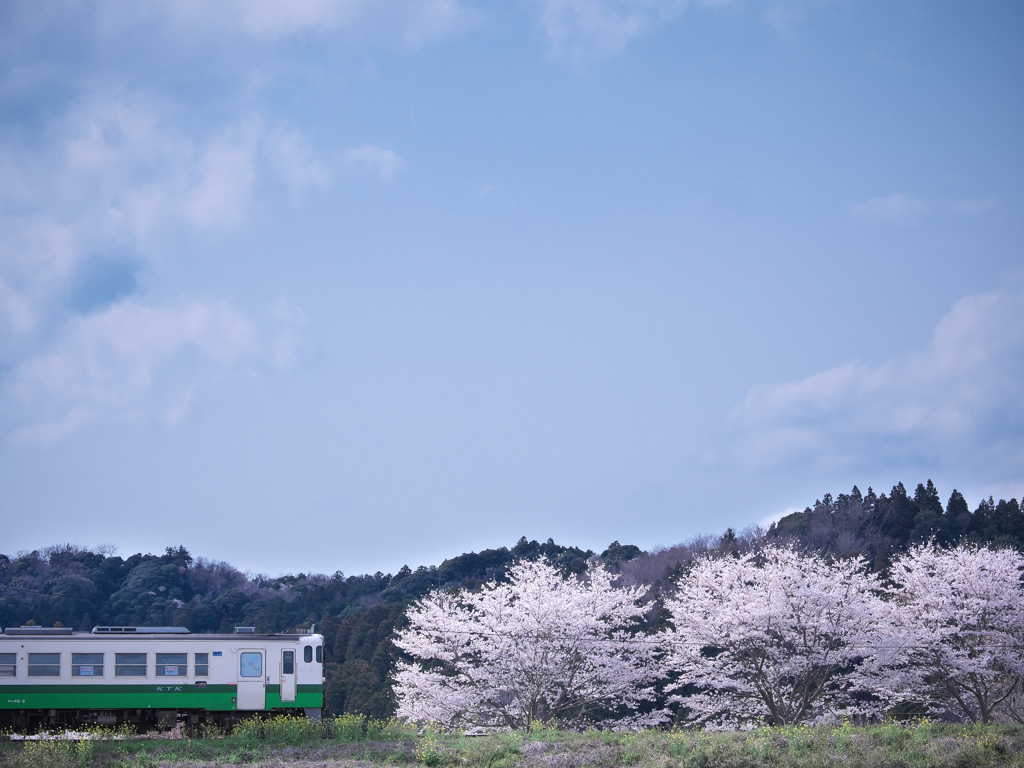 花冷えの日の鉄路模様