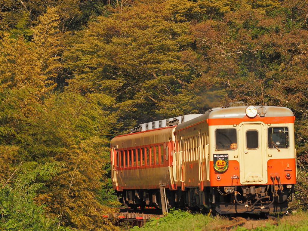 深緑と山吹の帳