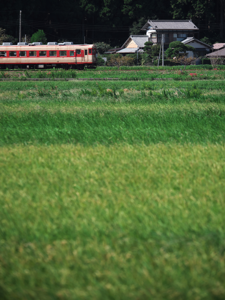 忘れないで彼が居たこの原風景を