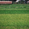忘れないで彼が居たこの原風景を
