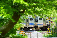 真夏の始まりととある三十年戦士の終焉