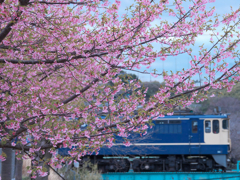 春を運ぶ青い汽車